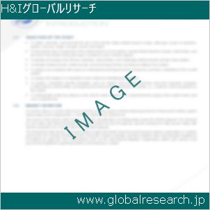 グローバルリサーチ調査レポートのイメージ
